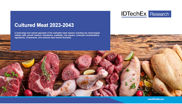 Carne coltivata 2023-2043